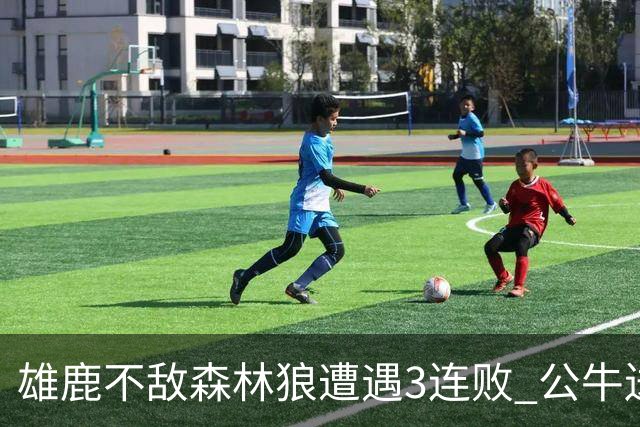 雄鹿不敌森林狼遭遇3连败 公牛送灰熊7连败
